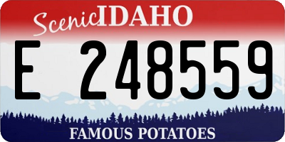 ID license plate E248559