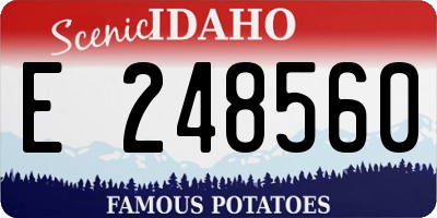 ID license plate E248560