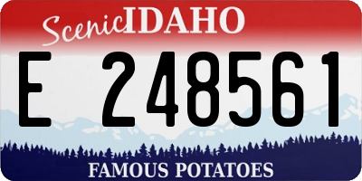 ID license plate E248561