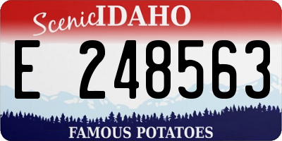ID license plate E248563