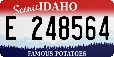 ID license plate E248564