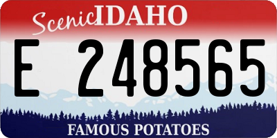 ID license plate E248565
