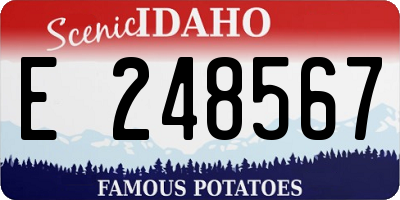 ID license plate E248567