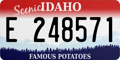 ID license plate E248571
