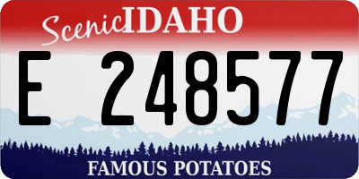 ID license plate E248577