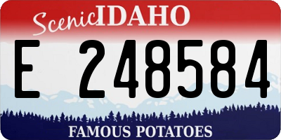ID license plate E248584