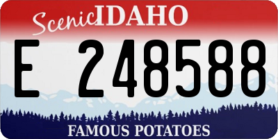 ID license plate E248588