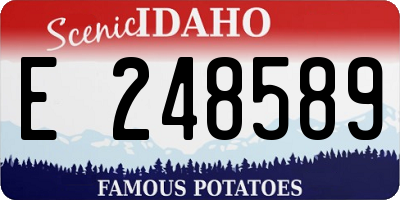 ID license plate E248589