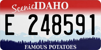 ID license plate E248591