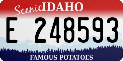 ID license plate E248593