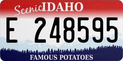 ID license plate E248595