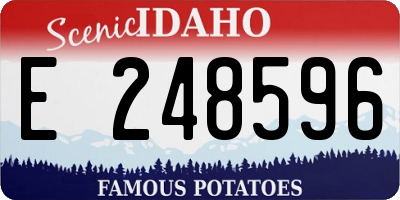 ID license plate E248596