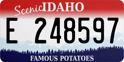 ID license plate E248597