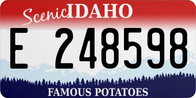 ID license plate E248598
