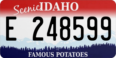 ID license plate E248599