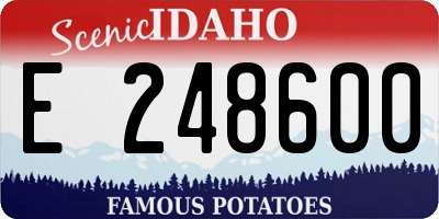 ID license plate E248600