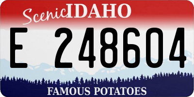 ID license plate E248604