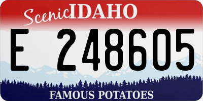 ID license plate E248605
