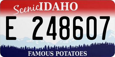 ID license plate E248607