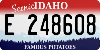 ID license plate E248608