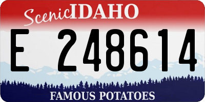 ID license plate E248614
