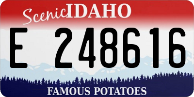 ID license plate E248616