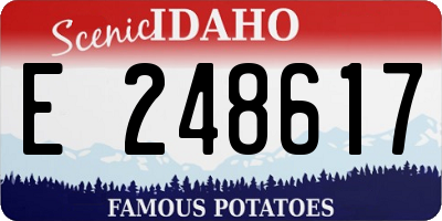 ID license plate E248617