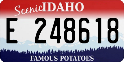 ID license plate E248618