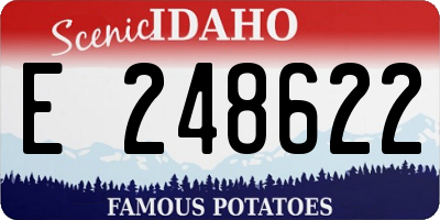 ID license plate E248622
