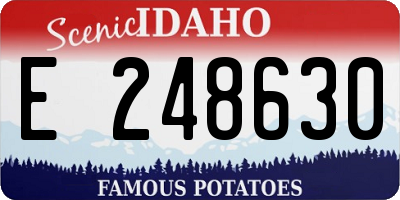ID license plate E248630