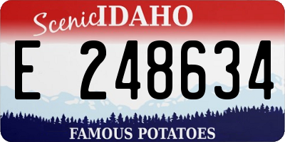 ID license plate E248634