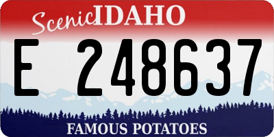 ID license plate E248637