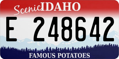 ID license plate E248642