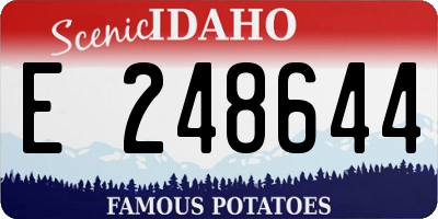 ID license plate E248644