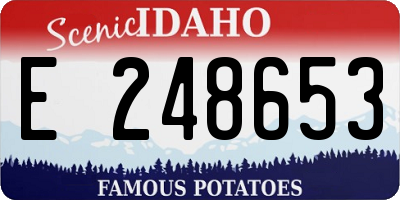 ID license plate E248653
