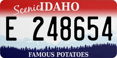 ID license plate E248654