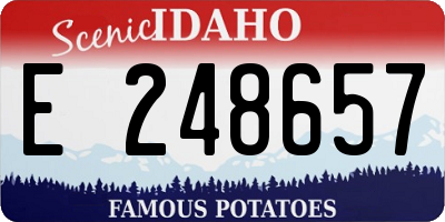 ID license plate E248657