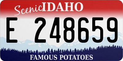 ID license plate E248659