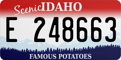 ID license plate E248663