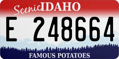 ID license plate E248664