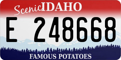 ID license plate E248668