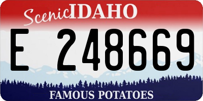 ID license plate E248669