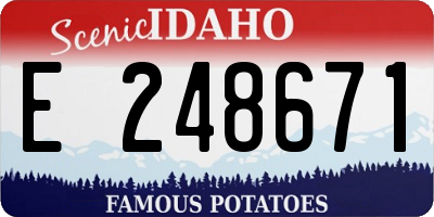 ID license plate E248671
