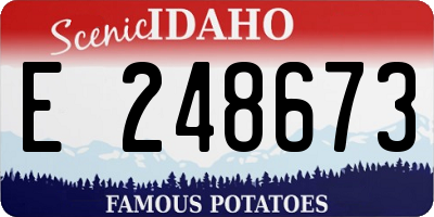ID license plate E248673