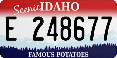 ID license plate E248677