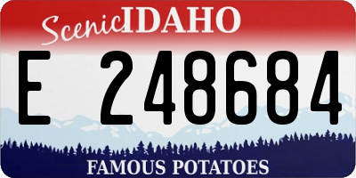 ID license plate E248684