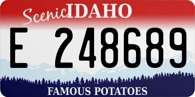 ID license plate E248689