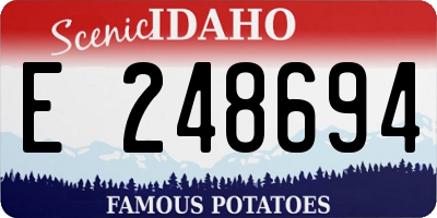 ID license plate E248694