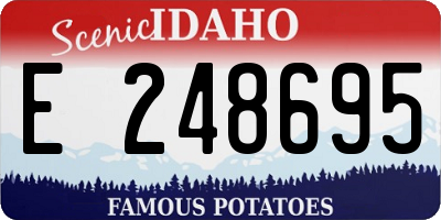ID license plate E248695
