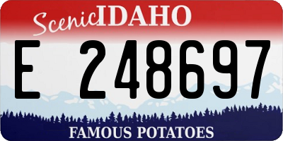ID license plate E248697